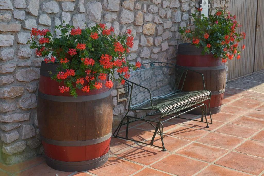 Agriturismo Kogoj Medea Exteriér fotografie